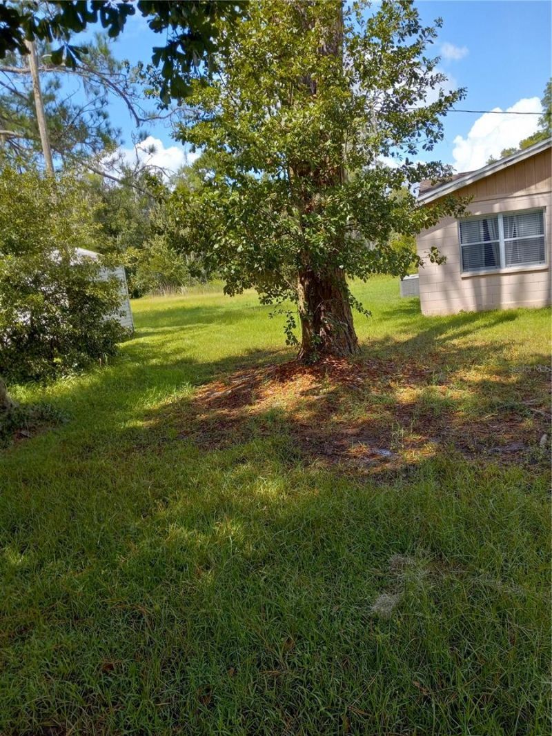 2902 W Lutz Lake Fern Road, Lutz, FL 33558 Photo