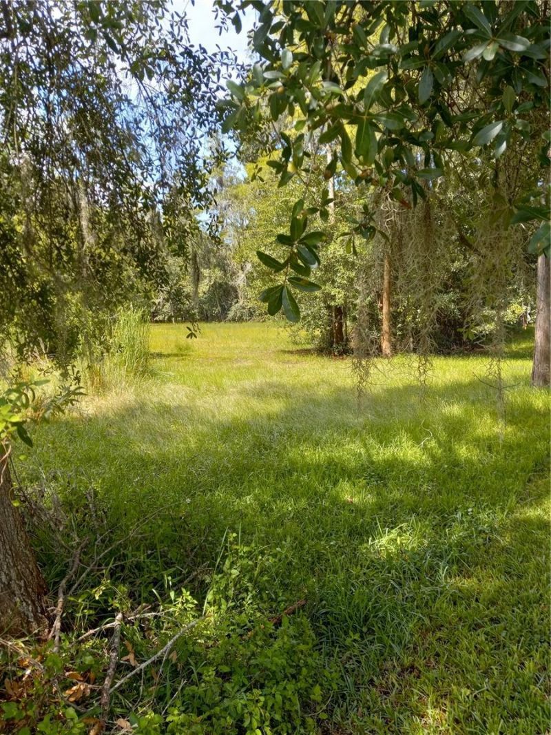 2902 W Lutz Lake Fern Road, Lutz, FL 33558 Photo