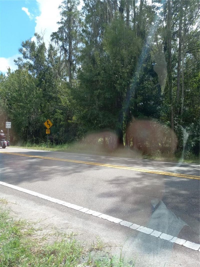 2902 W Lutz Lake Fern Road, Lutz, FL 33558 Photo