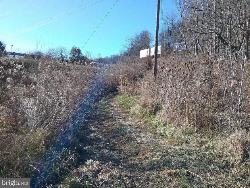 Route 40 Road, Eckhart Mines, MD 21528 Main Photo