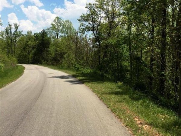 187 Starling Pass None, Asheville, NC 28804