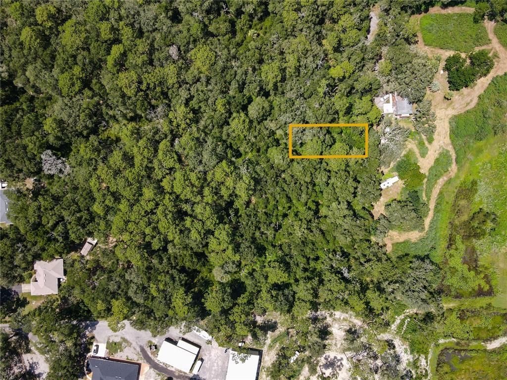 Blue Ridge Avenue, Orange City, FL 32763 Photo