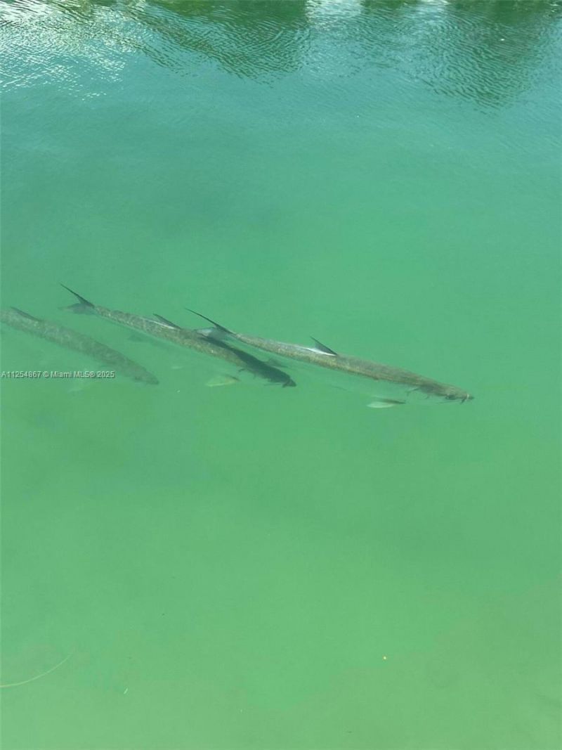 124 S Indies, Marathon, FL 33050 Photo