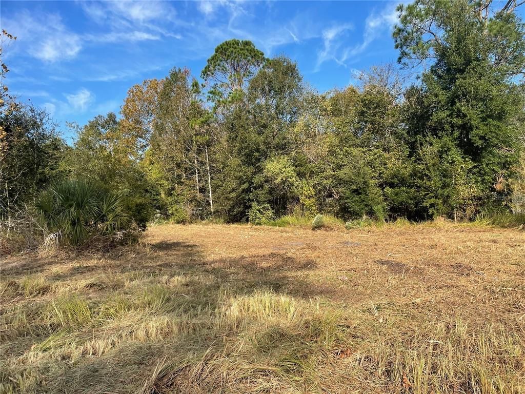 0 NW 23rd Terrace, Gainesville, FL 32606 Photo