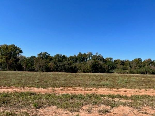 3017 Bayou Fields Drive, Alexandria, LA 71303