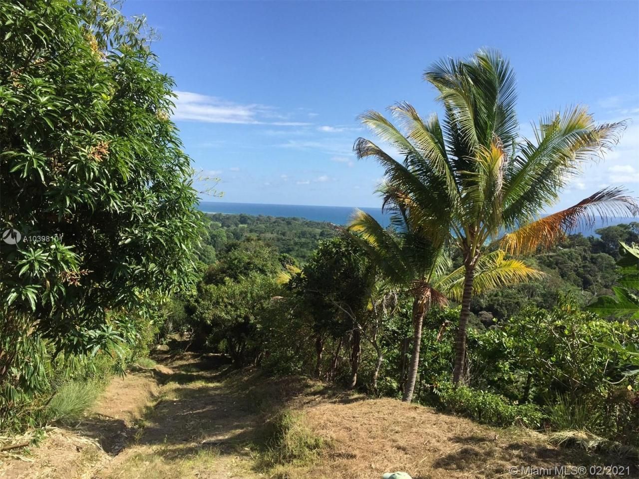 1 Carate Osa Peninsula, ,  00000 Photo