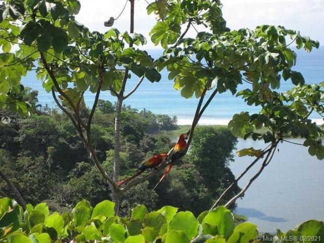 1 Carate Osa Peninsula, ,  00000 Photo