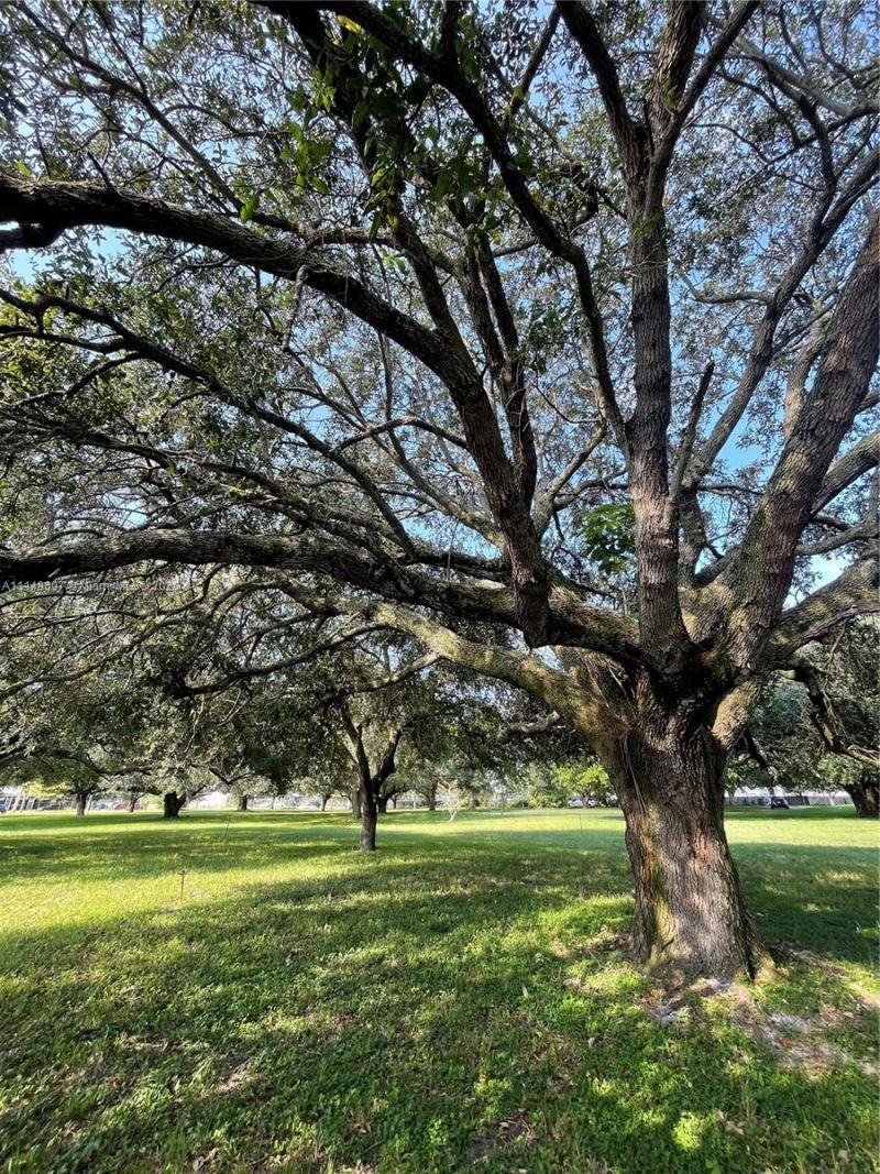 7227 Taft St, Pembroke Pines, FL 33024 Photo