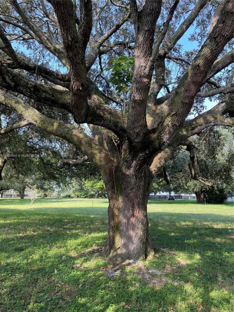 7227 Taft St, Pembroke Pines, FL 33024 Photo