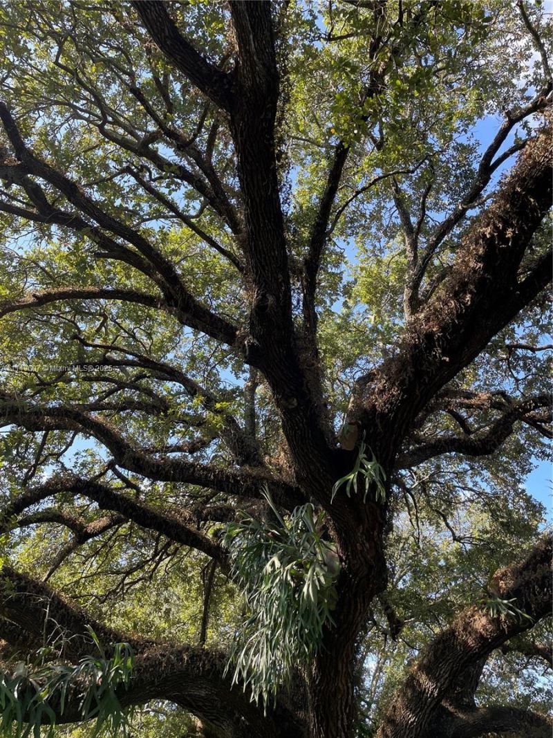 7227 Taft St, Pembroke Pines, FL 33024 Photo