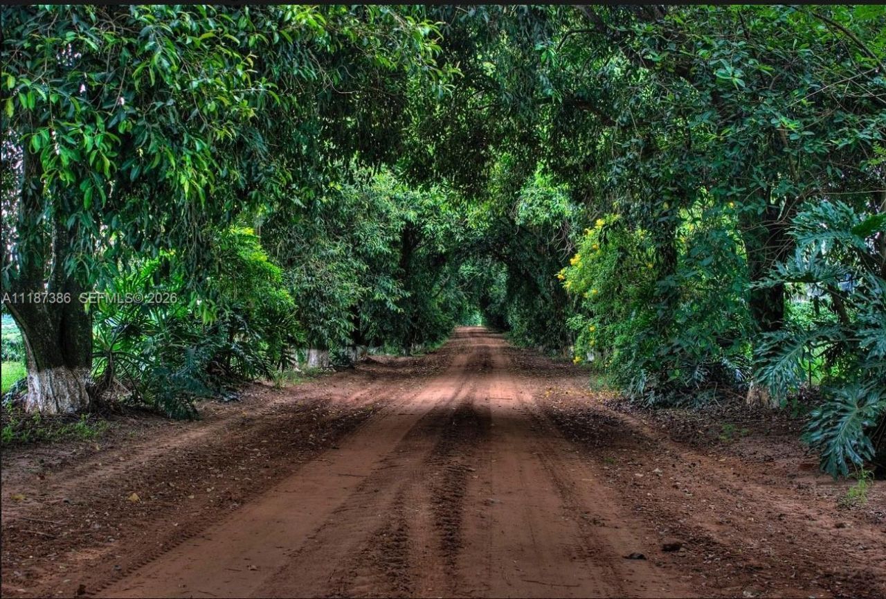 Rodovia Luis Augusto De Oliveira, , SP 13590 Photo