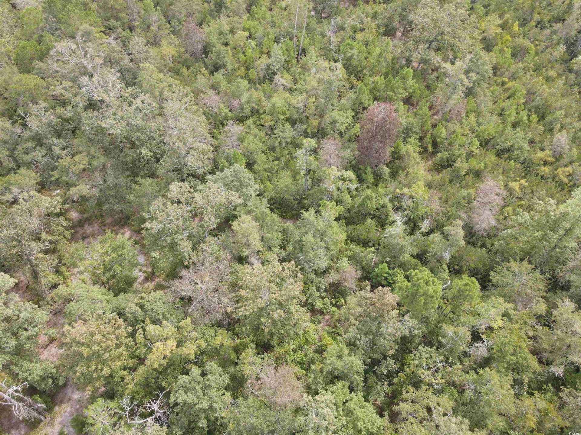 Lot 6 Rainbow Dr. Photo 11