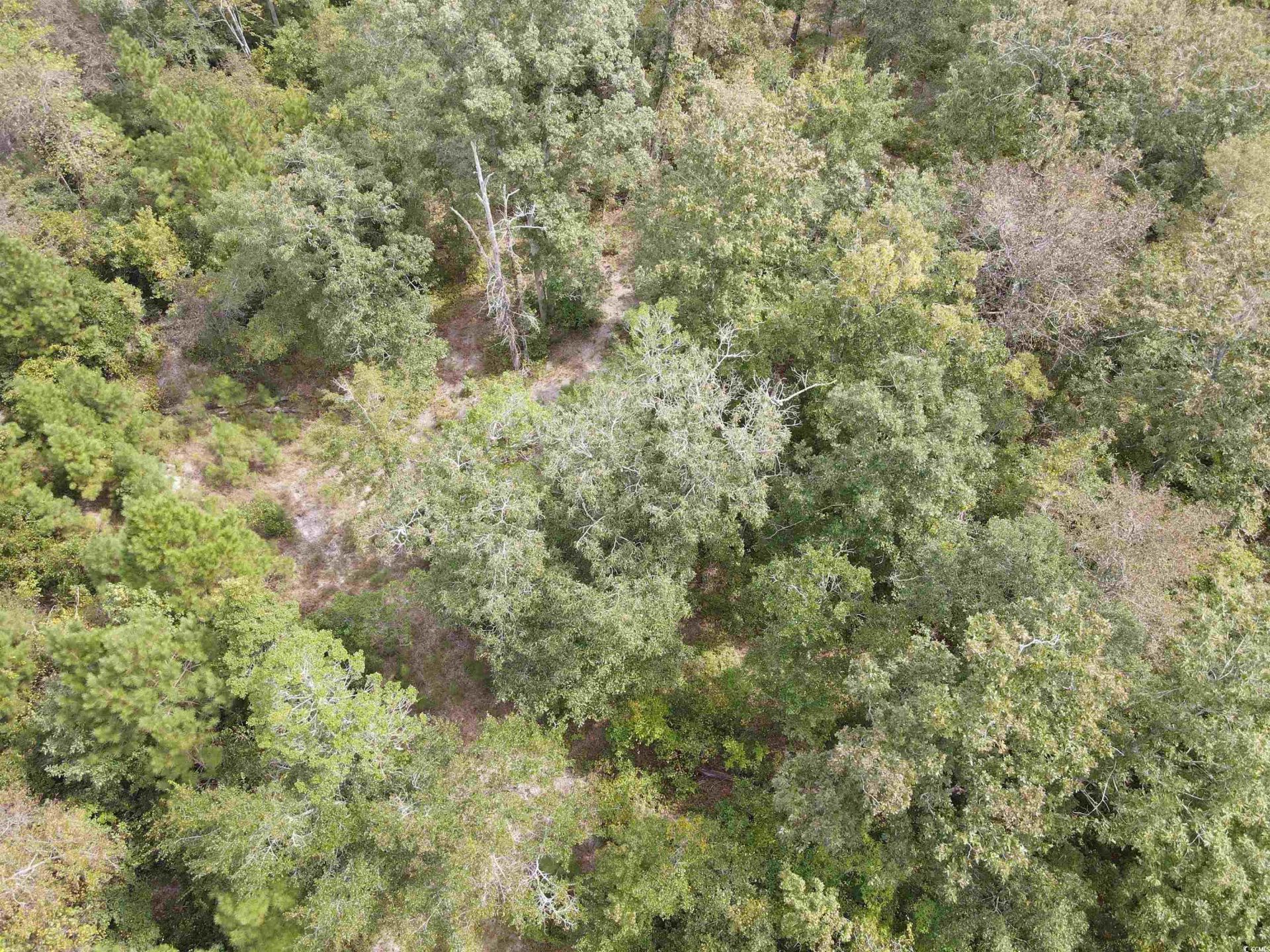 Lot 6 Rainbow Dr. Photo 12