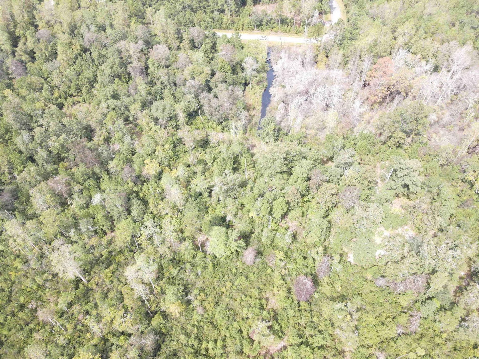 Lot 6 Rainbow Dr. Photo 13