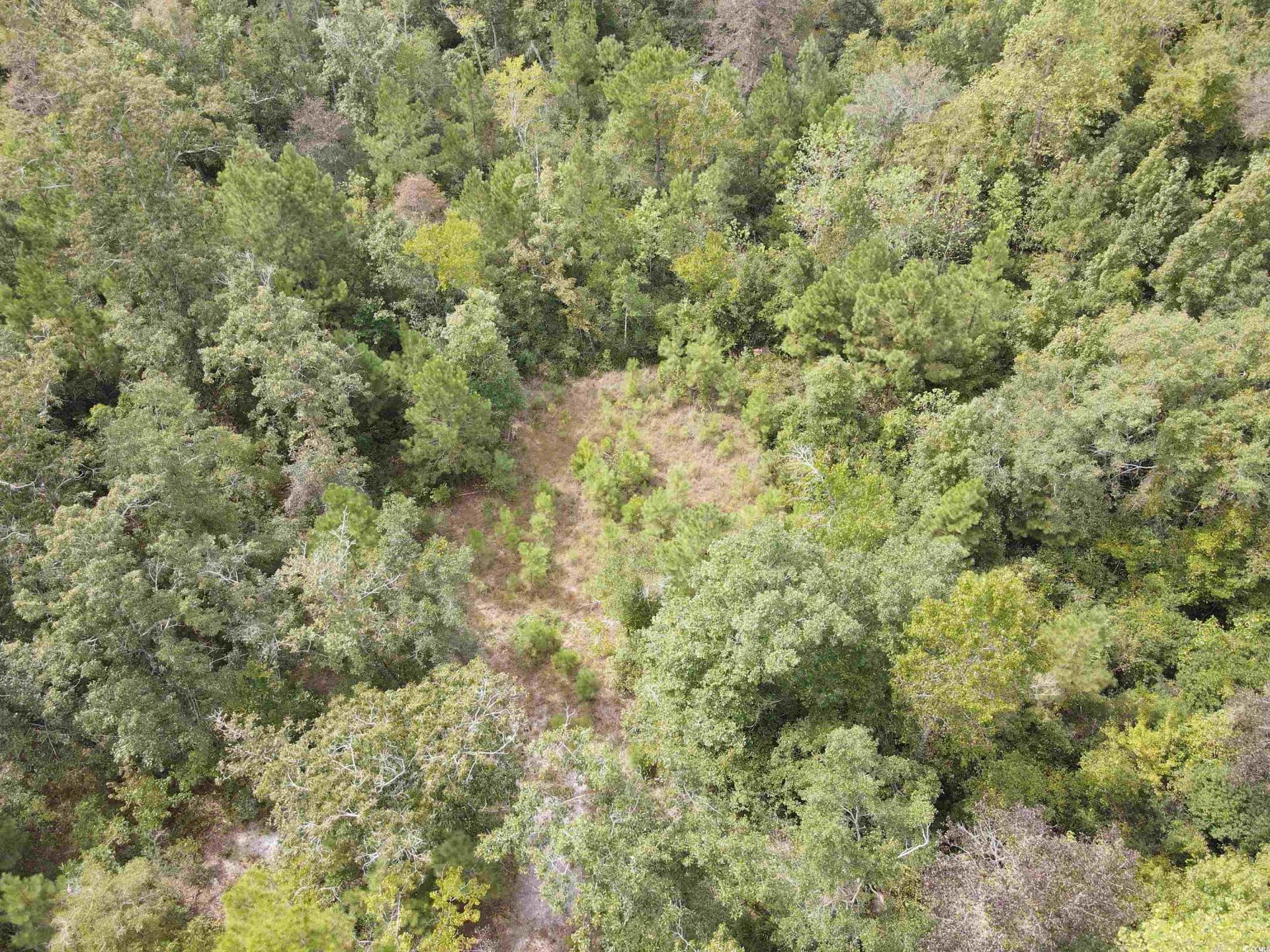 Lot 6 Rainbow Dr. Photo 14