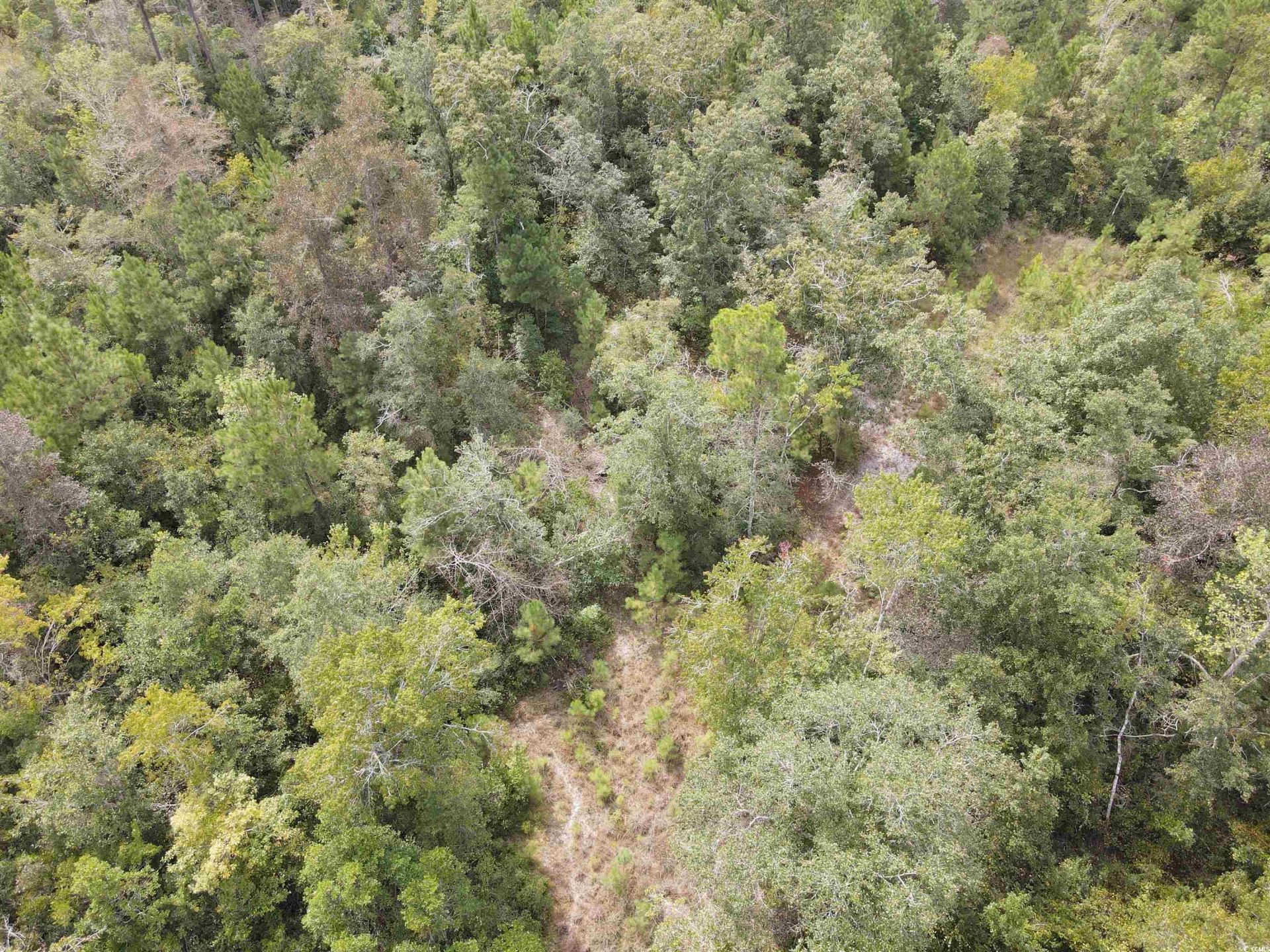 Lot 6 Rainbow Dr. Photo 15