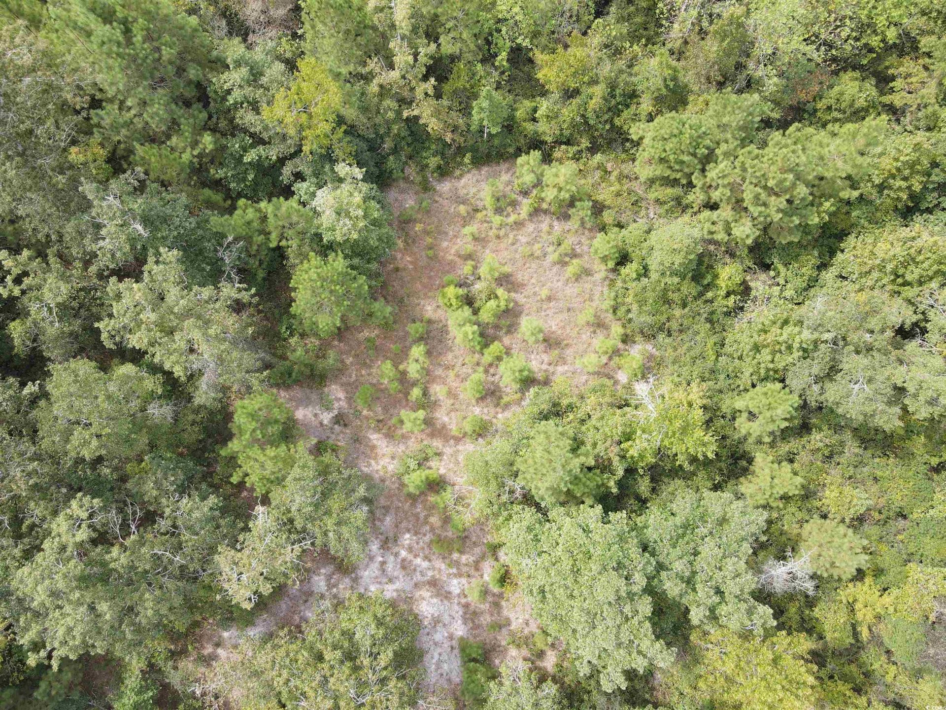 Lot 6 Rainbow Dr. Photo 16