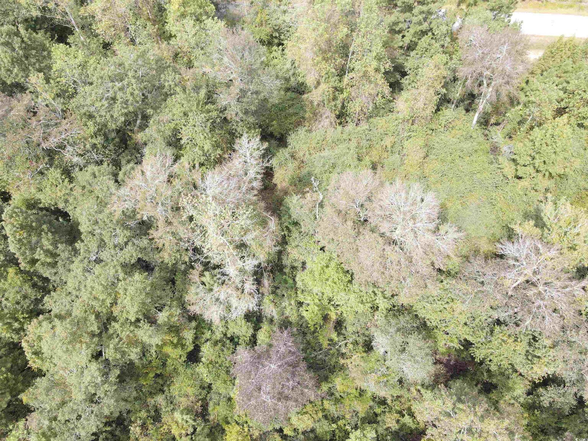 Lot 6 Rainbow Dr. Photo 17