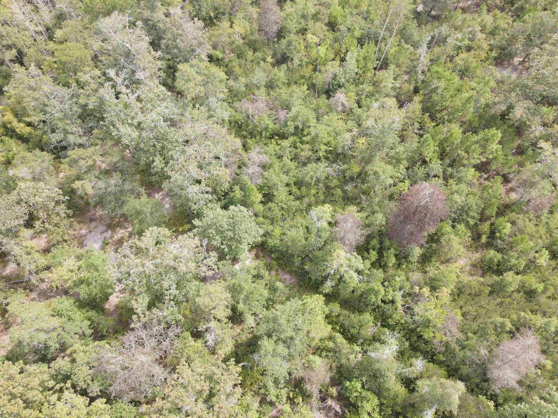 Lot 6 Rainbow Dr. Photo 18