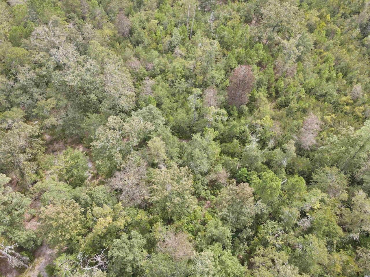 Lot 6 Rainbow Dr. Photo 15