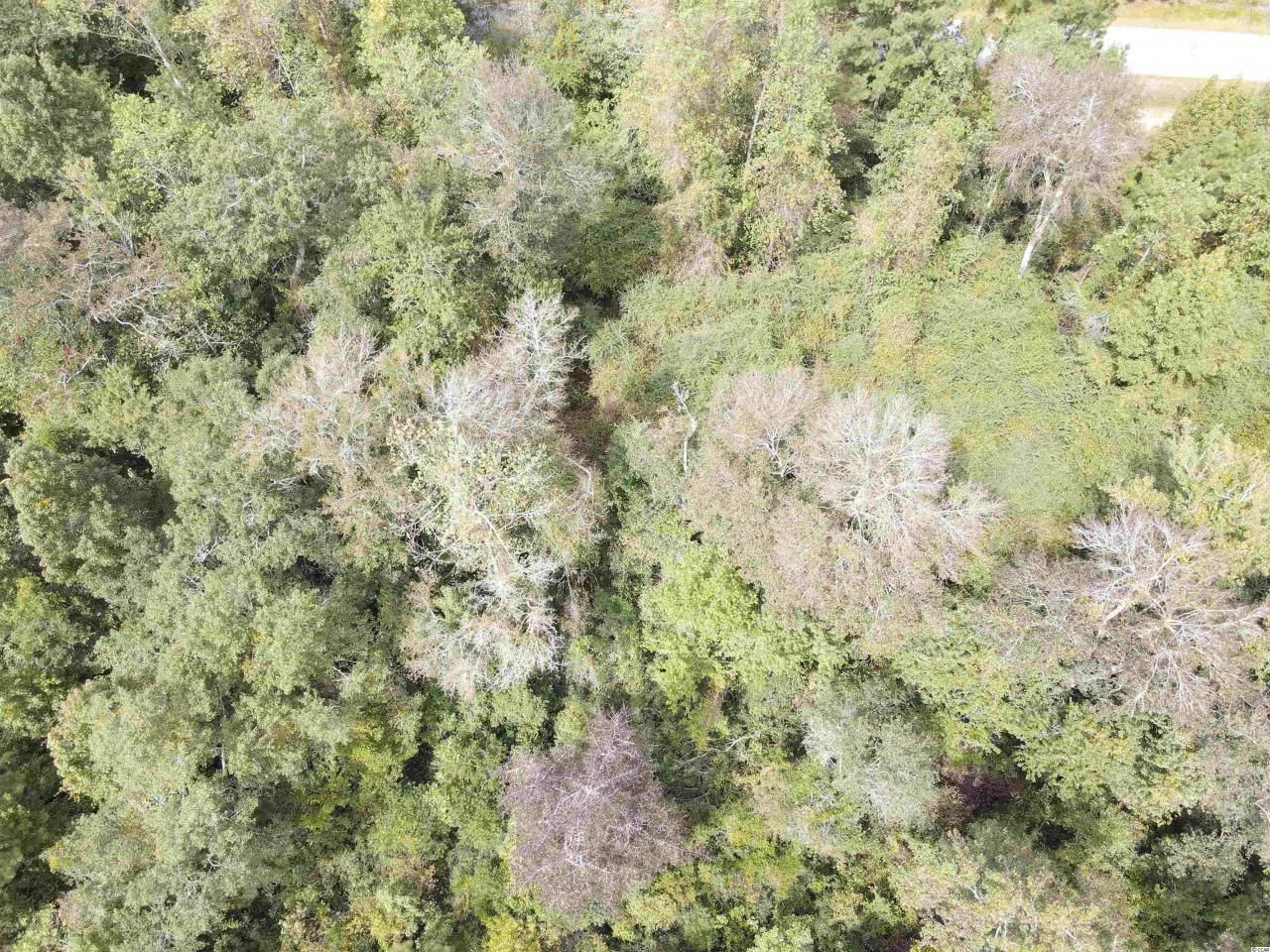 Lot 6 Rainbow Dr. Photo 20