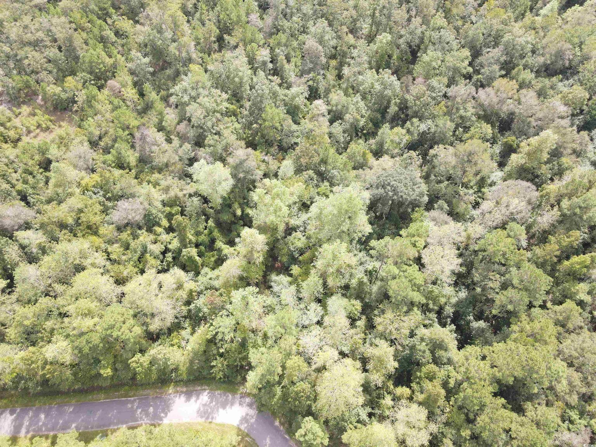 Lot 6 Rainbow Dr. Photo 4