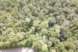 Lot 6 Rainbow Dr. photo 4