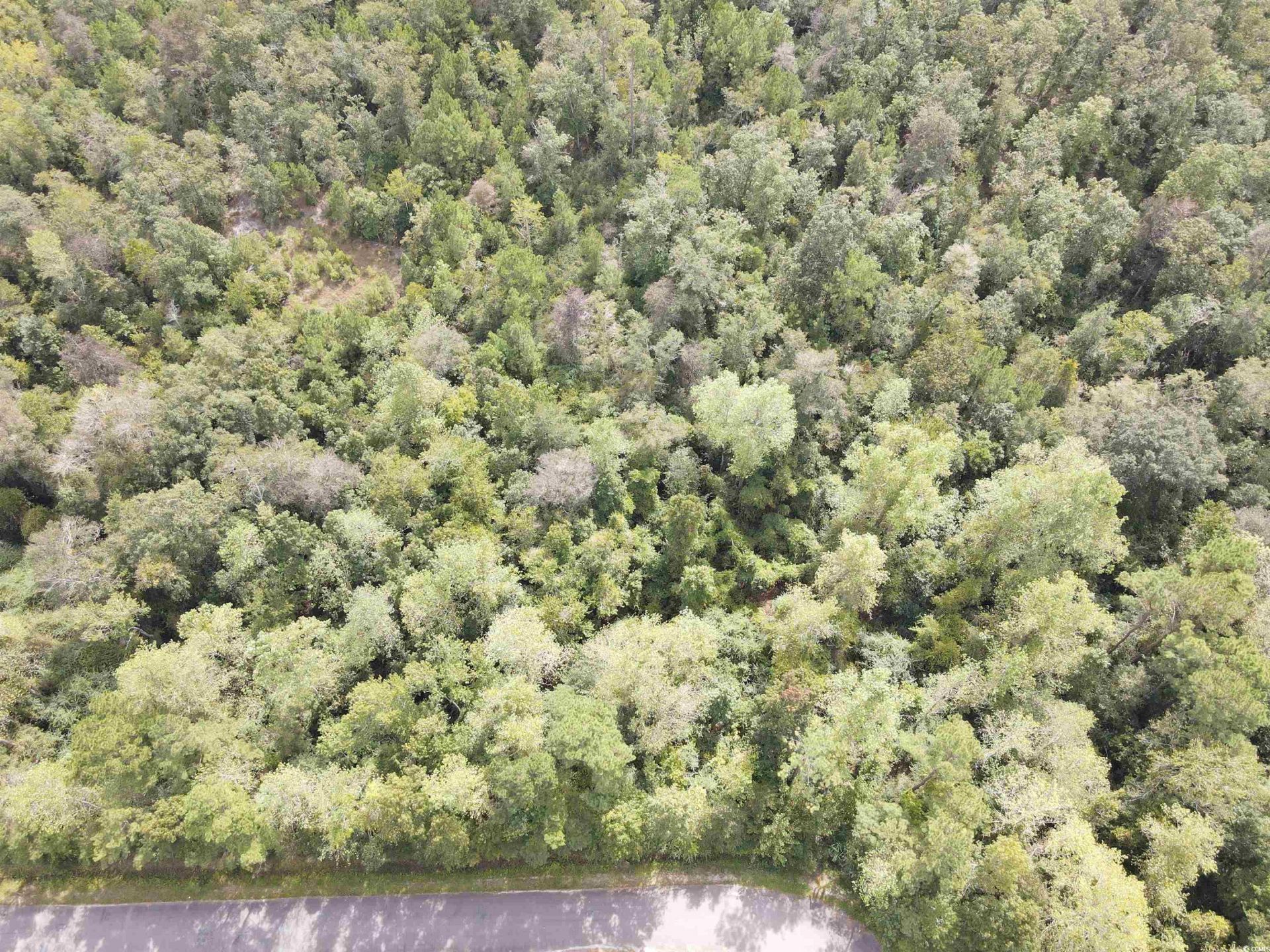 Lot 6 Rainbow Dr. Photo 5