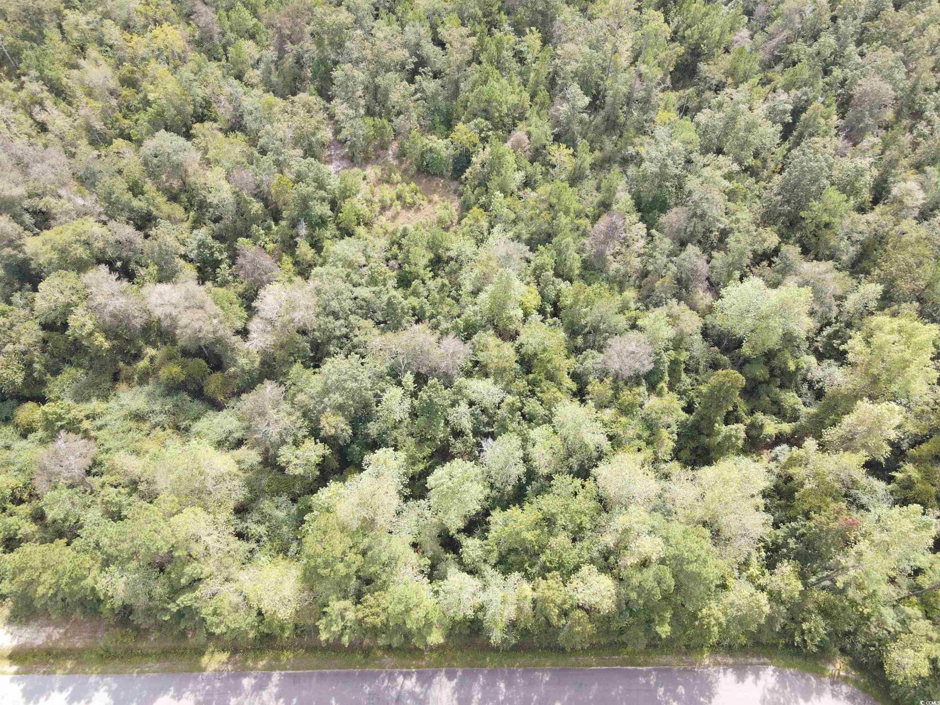 Lot 6 Rainbow Dr. Photo 6