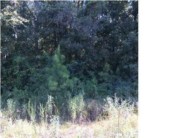 3224 St Stephens Road, Whistler, AL 36612