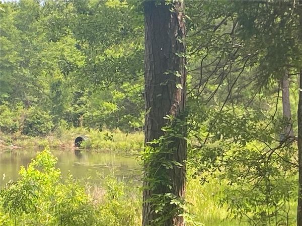 0 Bear Fork Road, Mobile, AL 36618