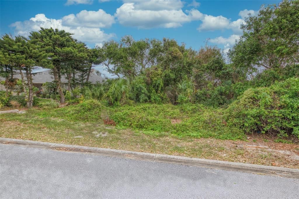 62 Buschman Drive, Ponce Inlet, FL 32127 Photo