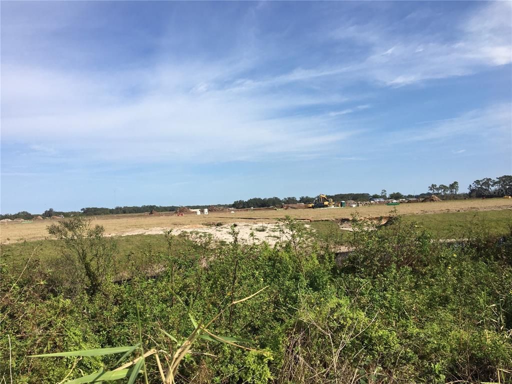 15421 Balm Wimauma Road, Wimauma, FL 33598 Photo