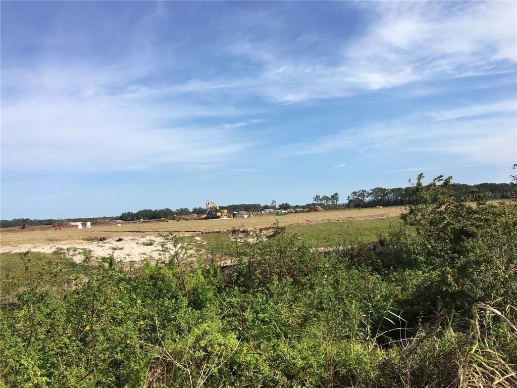 15421 Balm Wimauma Road, Wimauma, FL 33598 Photo