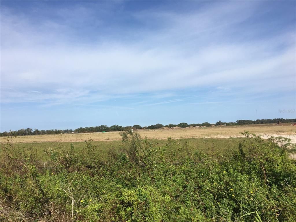 15421 Balm Wimauma Road, Wimauma, FL 33598 Photo