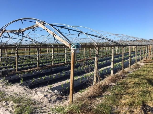 15421 Balm Wimauma Road, Wimauma, FL 33598 Photo