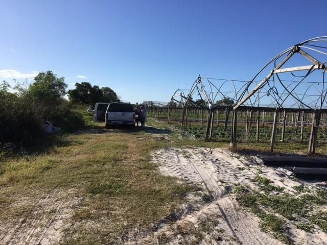 15421 Balm Wimauma Road, Wimauma, FL 33598 Photo