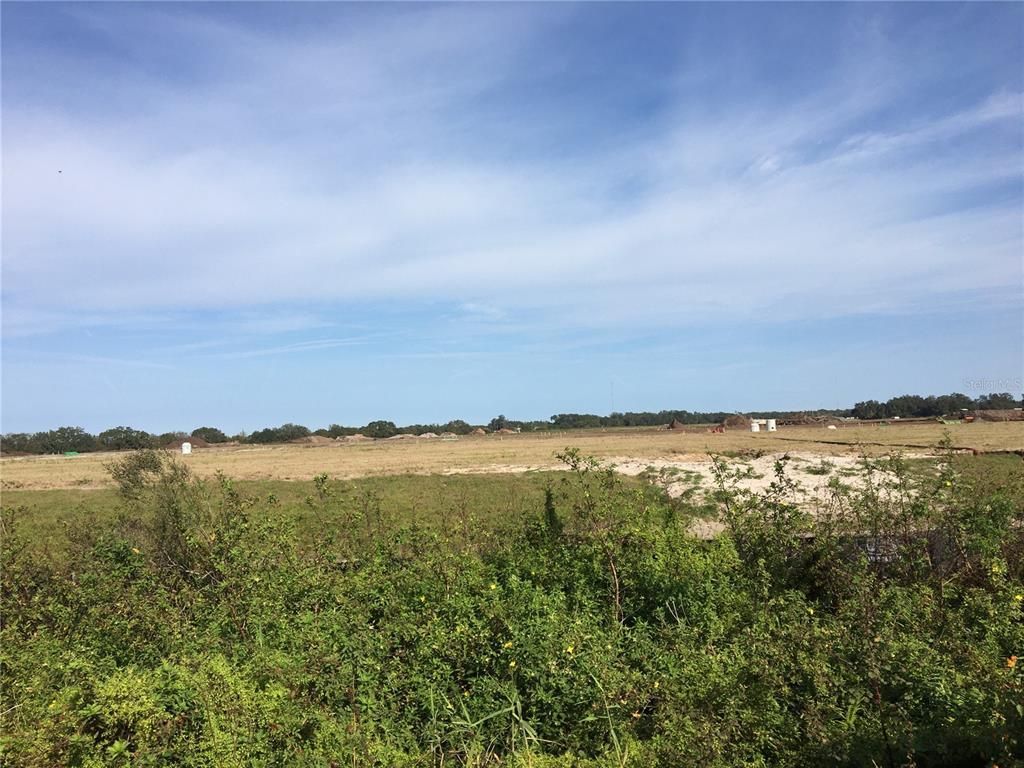 15421 Balm Wimauma Road, Wimauma, FL 33598 Photo