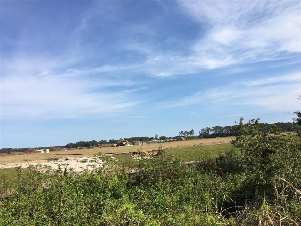 15421 Balm Wimauma Road, Wimauma, FL 33598 Photo