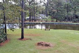 7101 Choppee Rd. photo 4