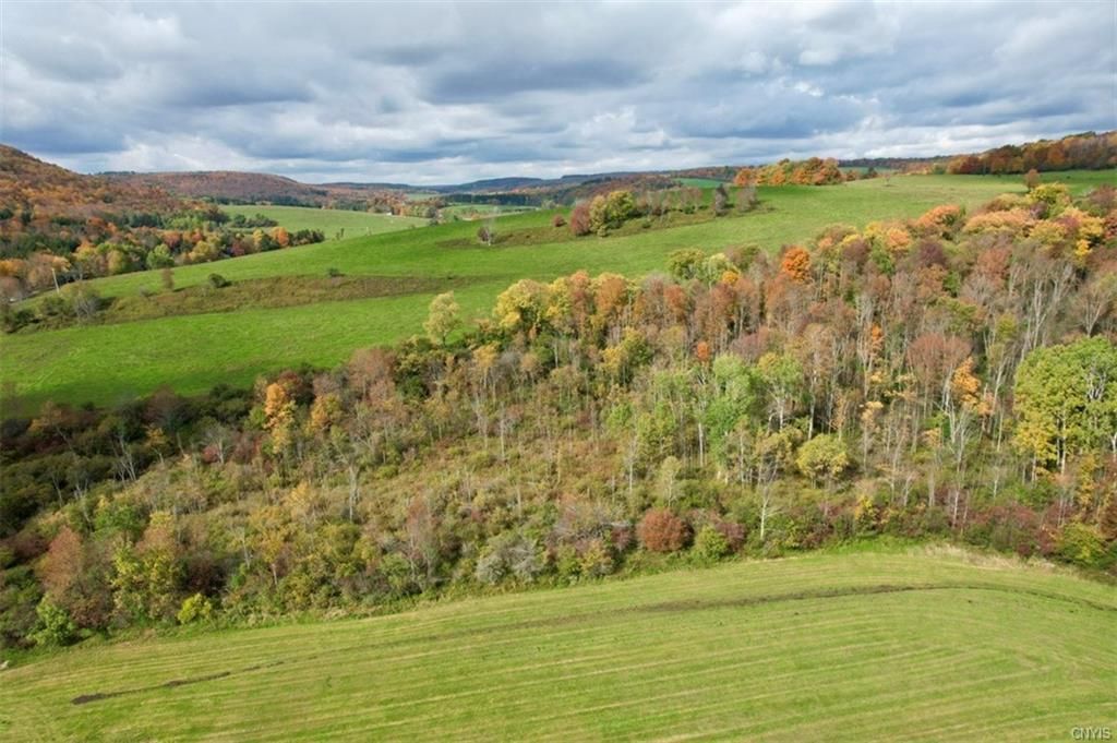 5073 S Lebanon Road, Earlville, NY 13332 Main Photo