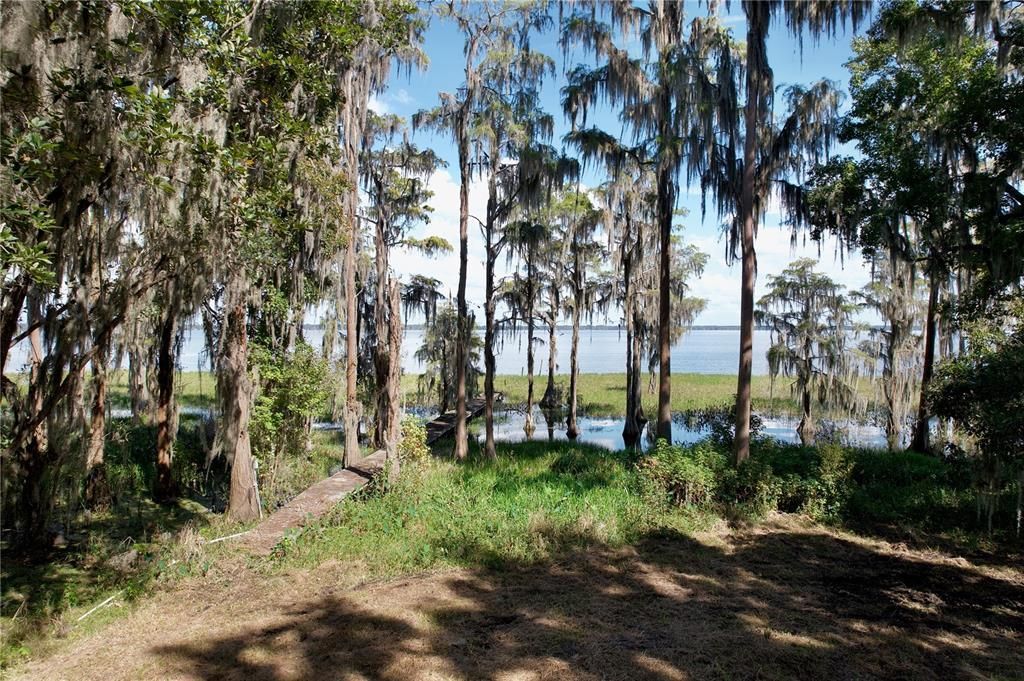 9817 NE County Road 1469, Earleton, FL 32631 Photo