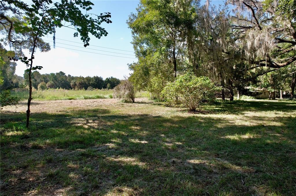 9817 NE County Road 1469, Earleton, FL 32631 Photo