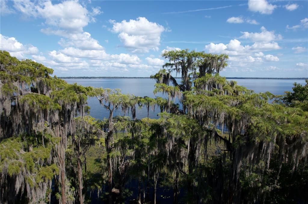 9817 NE County Road 1469, Earleton, FL 32631 Photo