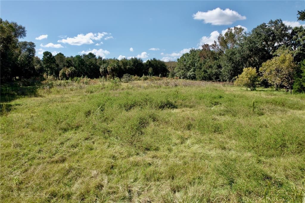 9817 NE County Road 1469, Earleton, FL 32631 Photo