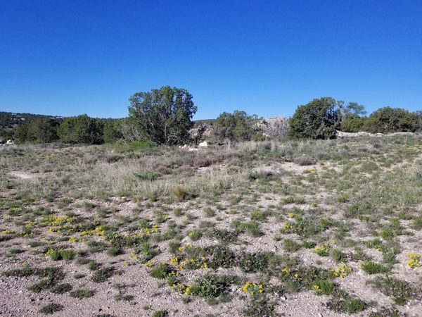 0 Walker Road, Edgewood, NM 87015