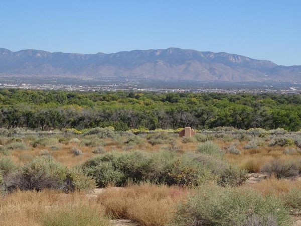 5008 CINNAMON TEAL Court NW, Albuquerque, NM 87120