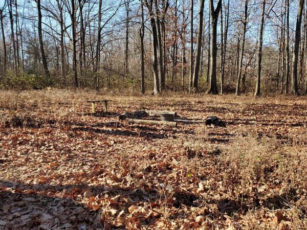 4440 Deer Creek Lane, London, OH 43140