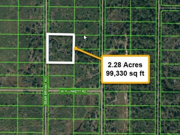 1859 BEAR BRYANT ROAD, AVON PARK, FL 33825