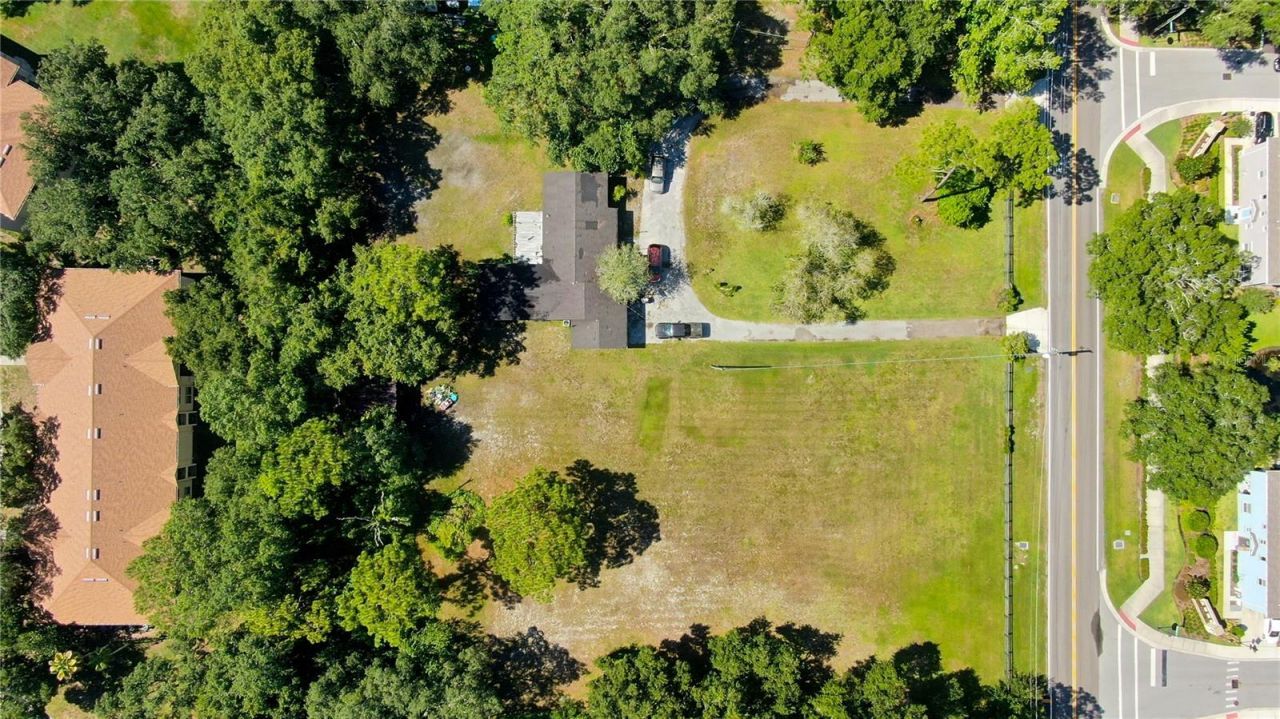 12853 Olive Jones Road, Tampa, FL 33625 Photo